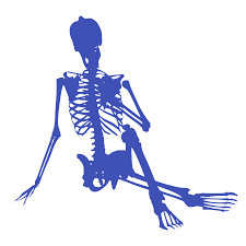 ¿Qué es la osteogénesis?