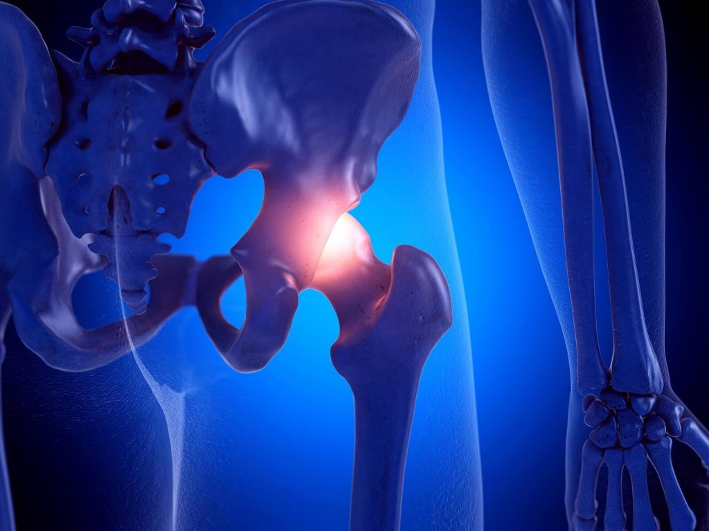 labrum